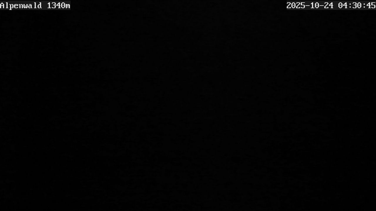 webcam.bild: Gasthof Alpenwald